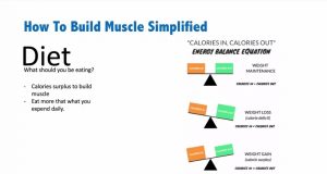 how to build muscles - calories equation