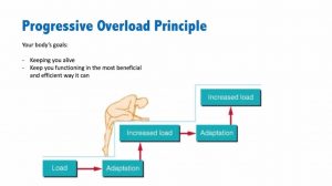 progressive overload