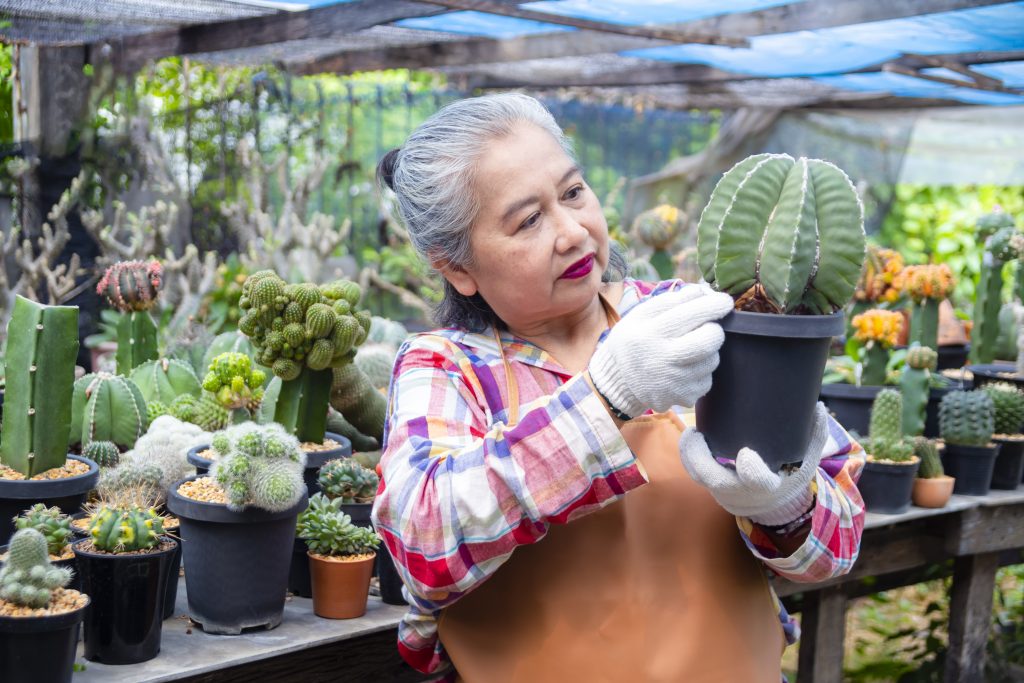 Elderly-woman-looking-at-integrity-of-cactus-tree