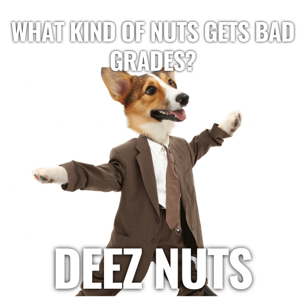 100 Good Deez Nuts Jokes Funny, Clever, And Creative That No One Knows