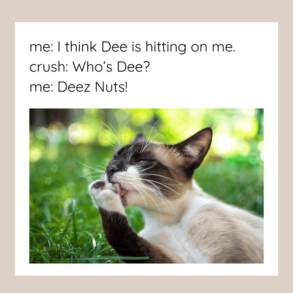 deez nuts jokes ideas