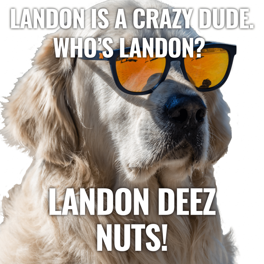 100 Good Deez Nuts Jokes Funny, Clever, And Creative That No One Knows
