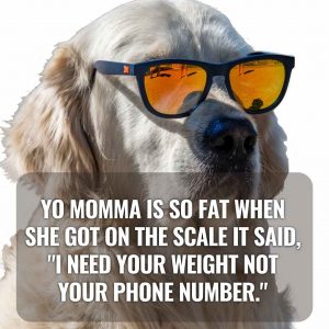 225 Best Yo Mama Jokes|Good, Funny, and Dirty Like You Haven't Held Before  in 2022 - PrettylifeStylez